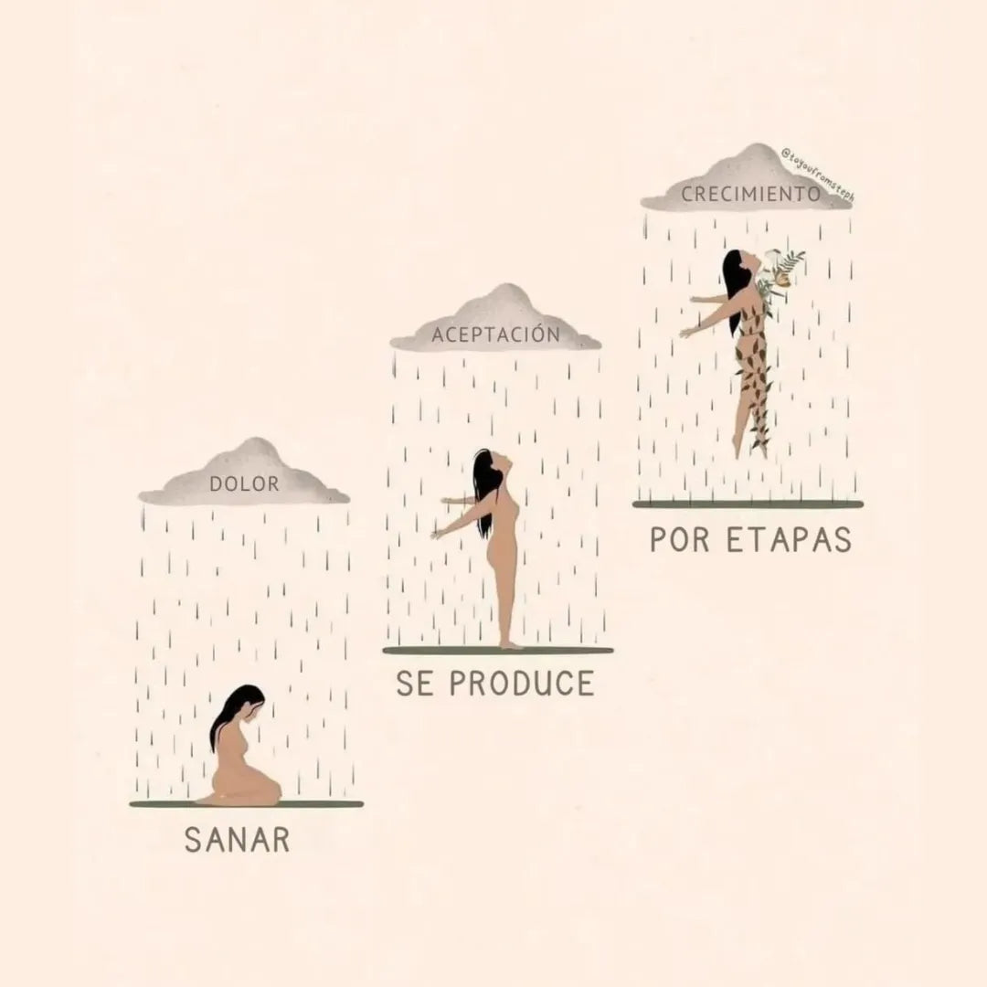💛 Una mujer emocionalmente sana comienza por elegir su bienestar 📘🎧 Libro físico + audiolibro de regalo para acompañarte en tu proceso