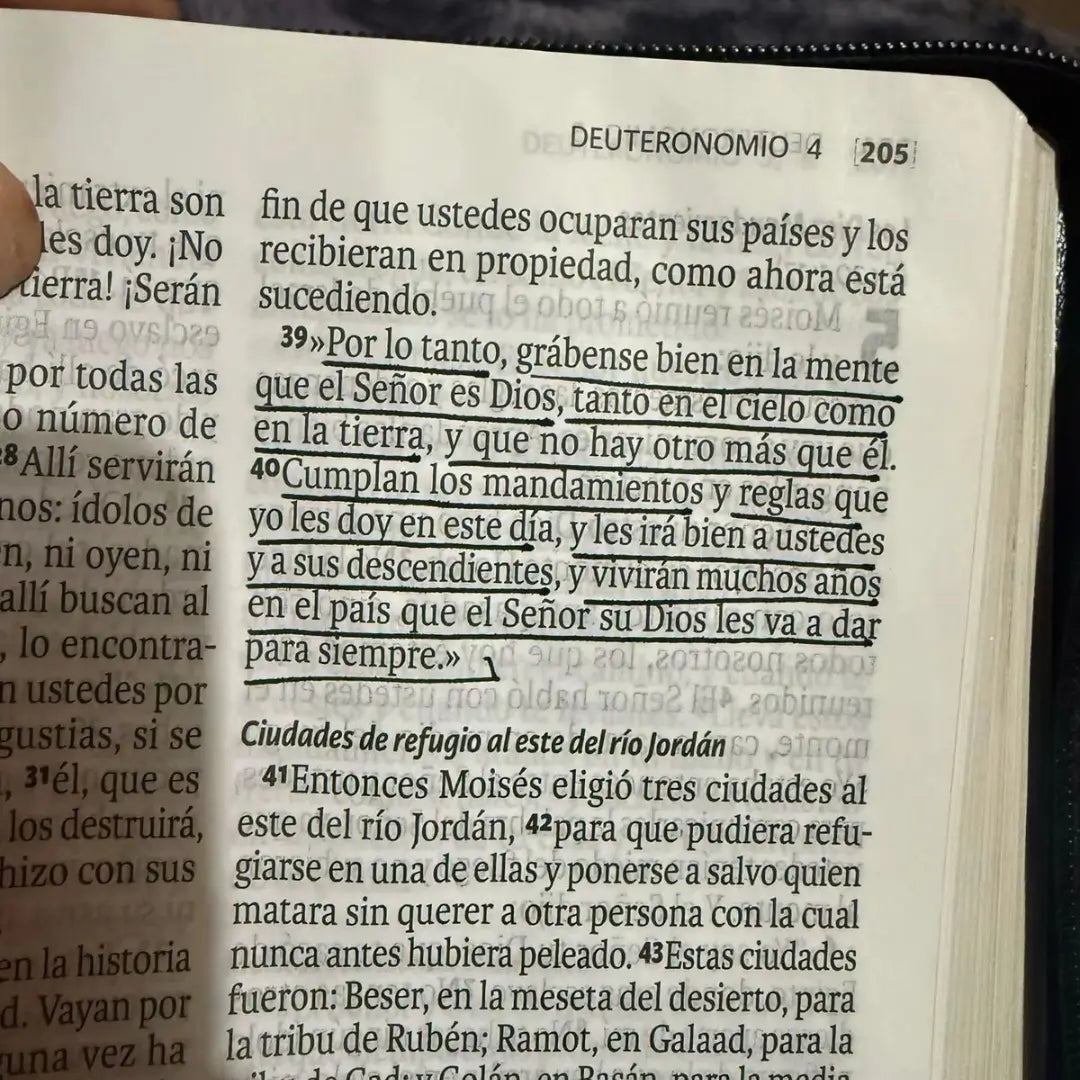Biblia Reina Valera 1960 GRATIS 🎁Comentario bíblico del XXI 🎁Gratis resaltador