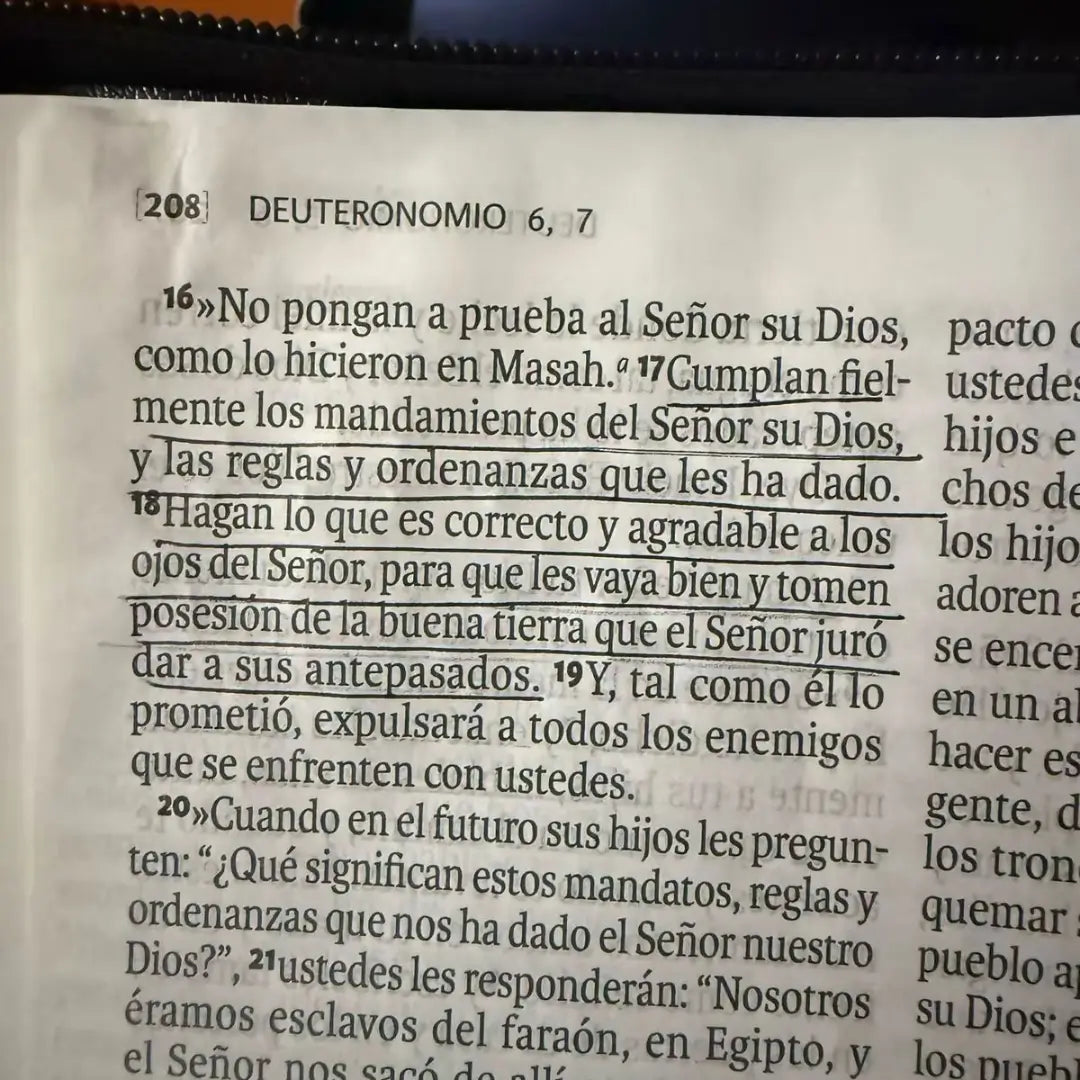 Biblia Reina Valera 1960 GRATIS 🎁Comentario bíblico del XXI 🎁Gratis resaltador