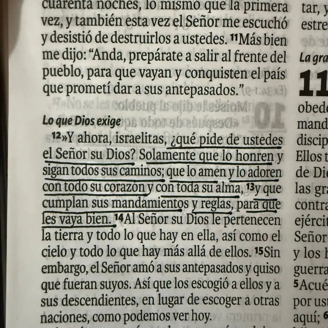 Biblia Reina Valera 1960 GRATIS 🎁Comentario bíblico del XXI 🎁Gratis resaltador