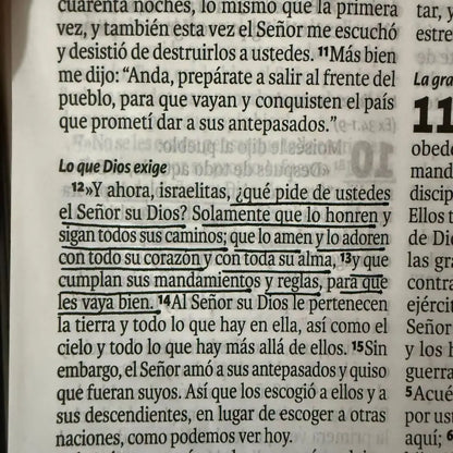 Biblia Reina Valera 1960 GRATIS 🎁Comentario bíblico del XXI 🎁Gratis resaltador