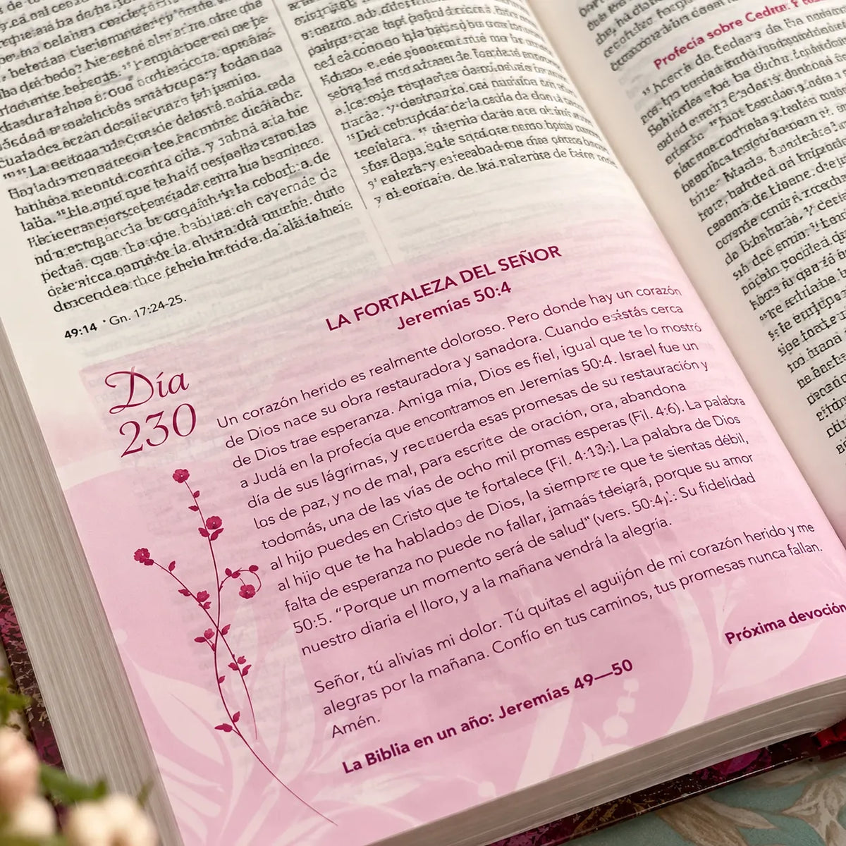 📖 Biblia de la Mujer Conforme al Corazón de Dios + Regalos GRATIS 🎁 + Envío GRATIS 🚚