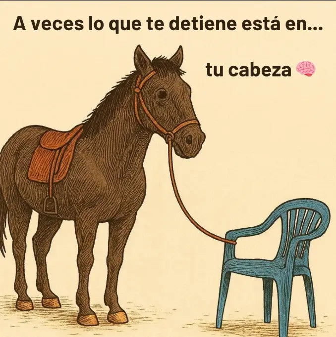 📘 Libro "No te creas todo lo que piensas" (FÍSICO) 💎🎁 Incluye paquete exclusivo (ebook de 101 afirmaciones positivas + 2 separadores de páginas y 1 resaltador) 🚀📚🧠